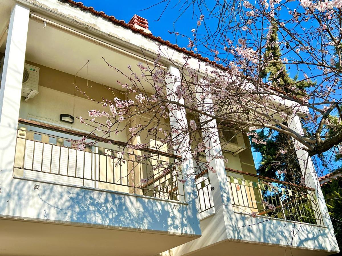 Nikiti Beach Houses Dış mekan fotoğraf